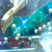 WS000025